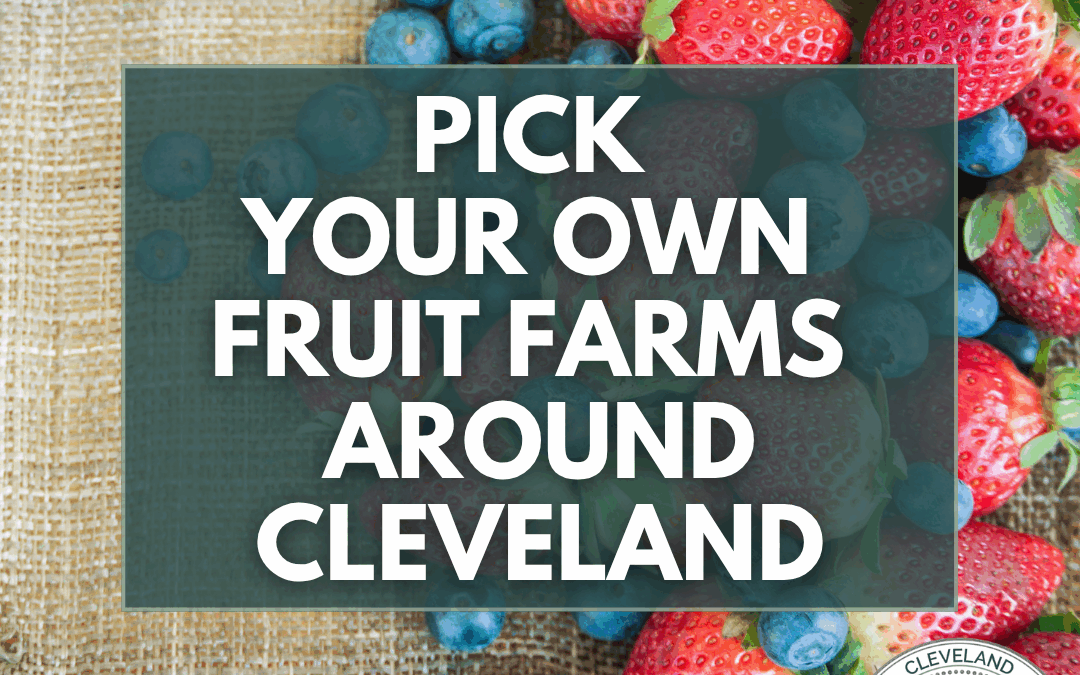 Pick Your Own Fruit Farms