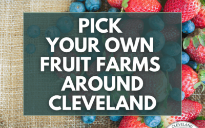 Pick Your Own Fruit Farms