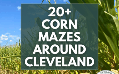 Corn Mazes Around Cleveland
