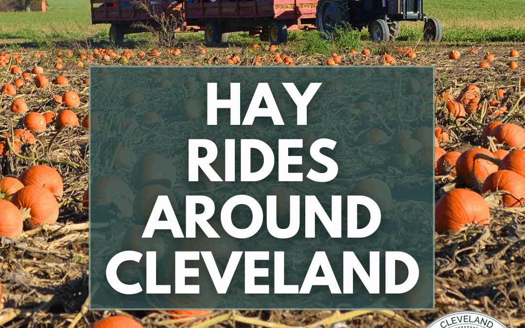 Hay Rides Around Cleveland