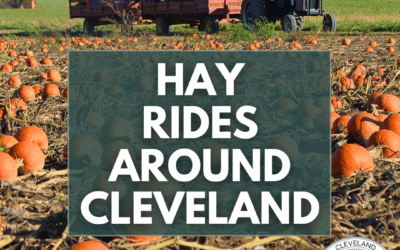 Hay Rides Around Cleveland