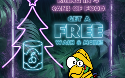 Give Back & Get A Free Rainforest Car Wash