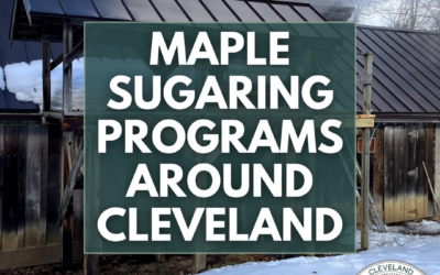 Maple Sugaring Programs Around Cleveland
