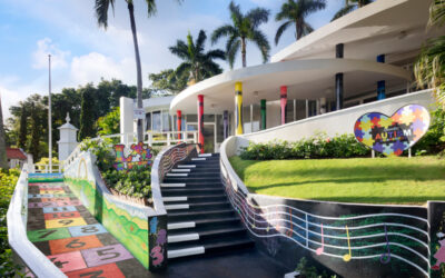 Local Business Spotlight: Wishing On A Star Travel & Beaches Resort