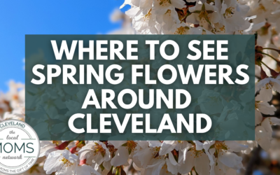 Where To See Spring Flowers Around Cleveland