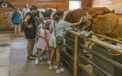 Local Event Spotlight: Dairy Days @ Lake Metroparks Farmpark