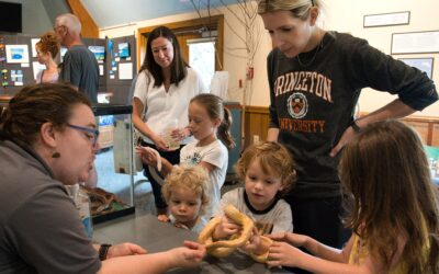 Local Event Spotlight: Snakes, Turtles, & More at Penitentiary Glen Reservation