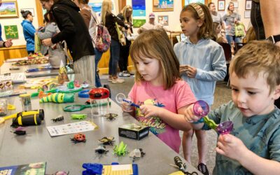 Local Event Spotlight: Bug Day at Penitentiary Glen Reservation