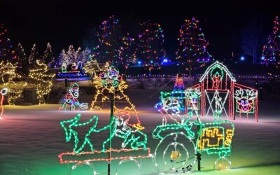 Local Event Spotlight: Holiday Ice & Lights Festival at Lake Metroparks Farmpark