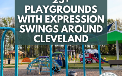 25+ Playgrounds With Expression Swings Around Cleveland